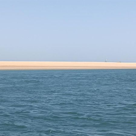 Nid D'Arguin Villa La Teste-de-Buch Bagian luar foto