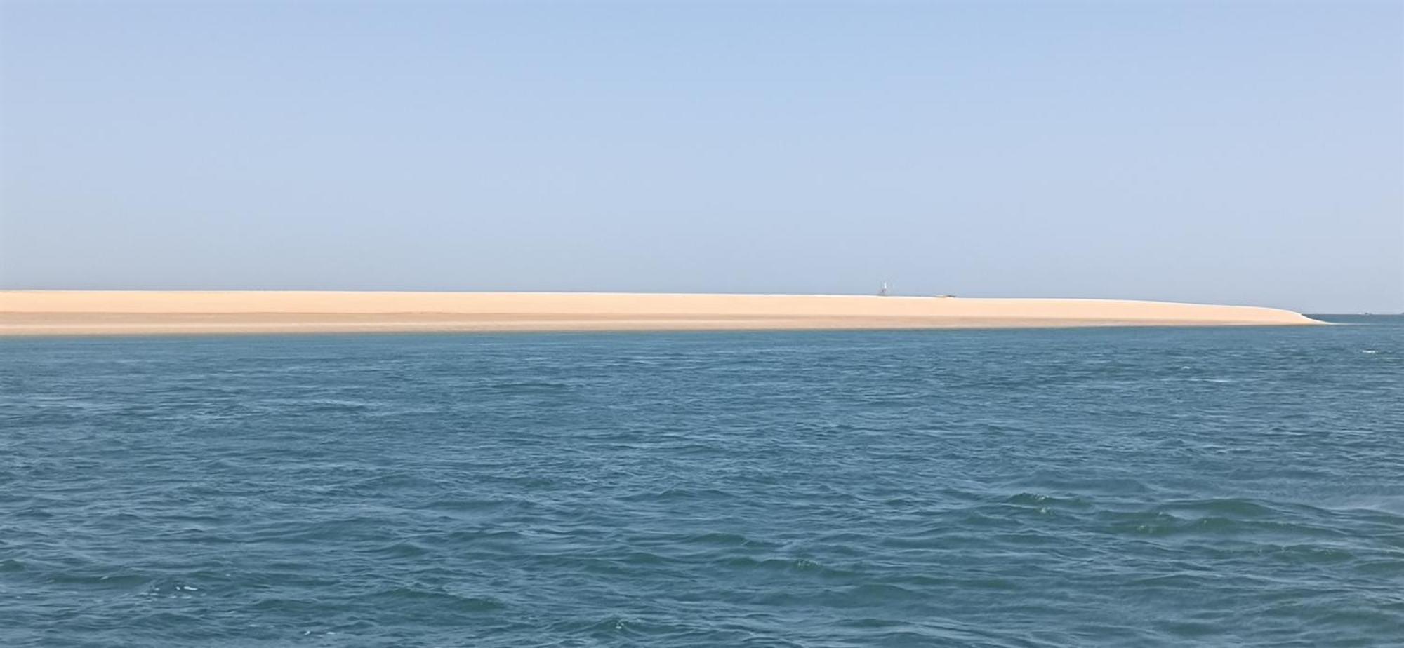 Nid D'Arguin Villa La Teste-de-Buch Bagian luar foto